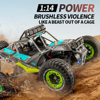 D-H1 1:14 Scale 4WD High-Speed RC Off-Road Buggy (Brushless Version)