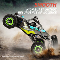 D-H1 1:14 Scale 4WD High-Speed RC Off-Road Buggy (Brushless Version)