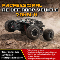 4D-H5 Series 4WD Brushed High-Speed RC Off-Road Vehicle