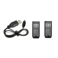 4D-V8 Battery Set (includes 2 battery and 1 charging cable)