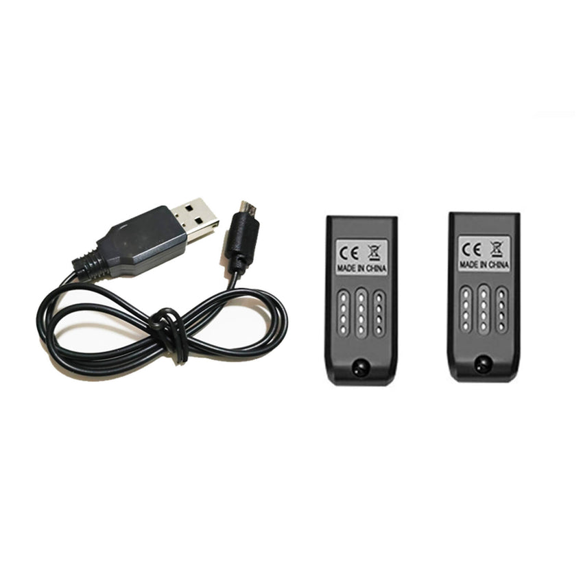 4D-V8 Battery Set (includes 2 battery and 1 charging cable)